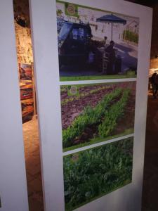 sentiei del gusto otranto 2018-03-1